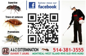 A to Z Extermination Ads