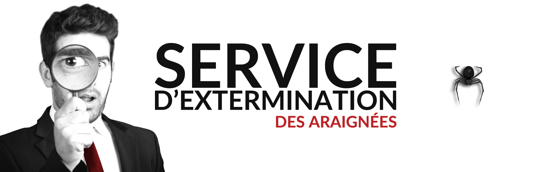 Groupe AZ extermination exterminateur araignées