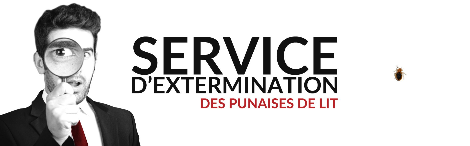 Groupe AZ extermination exterminateur punaises de lit