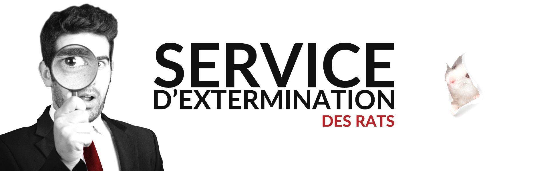 Groupe AZ extermination exterminateur rats