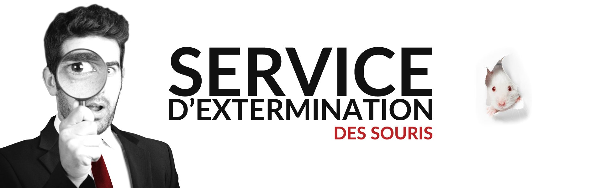 Groupe AZ extermination exterminateur souris