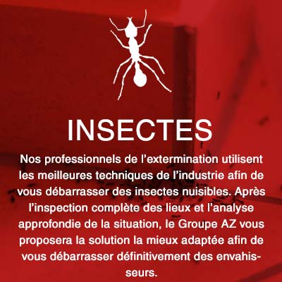 Groupe AZ Extermination exterminateurs insectes