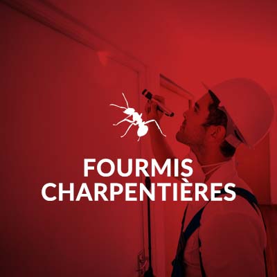 Groupe AZ extermination exterminateur insectes