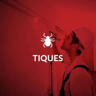 Groupe AZ extermination exterminateur insectes