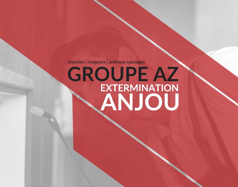 Exterminateurs Anjou