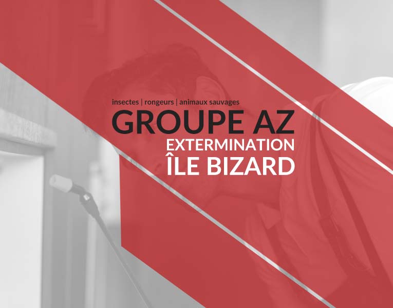 Exterminateurs Île-Bizard