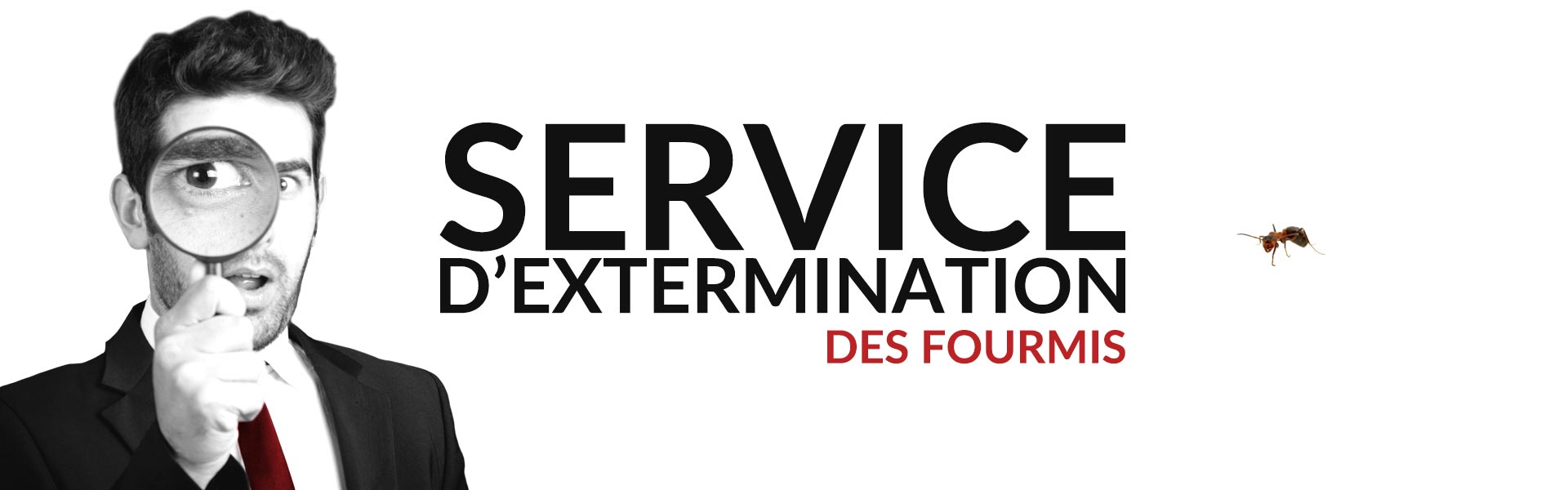 Groupe AZ extermination exterminateur fourmis