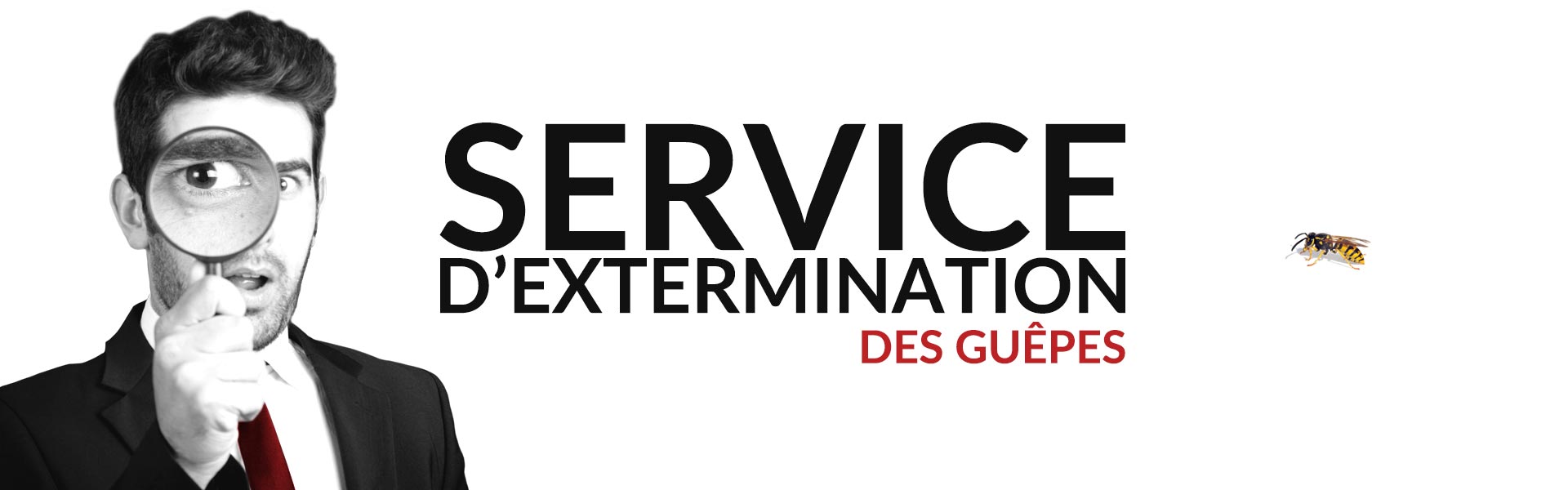 Groupe AZ Extermination exterminateur guêpes